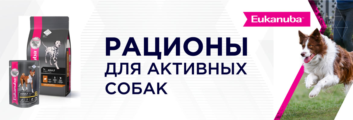 Дарвин Зоо Пенза Официальный Сайт Интернет Магазин