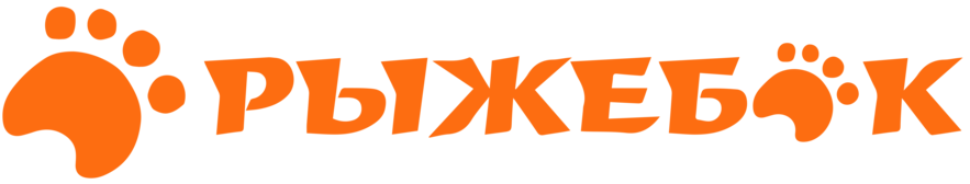 Рыжий кот