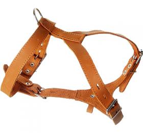 Шлейка кожа 25 мм д/собак (средняя) 1407 Зооник