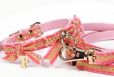 Ошейник розовый 1,0*21 см арт. FMDN13009 FOR MY DOG