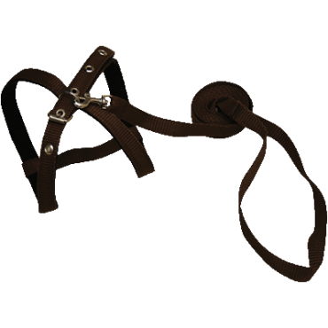 Комплект шлейка+поводок 14 мм арт. 1314 шц Зооник