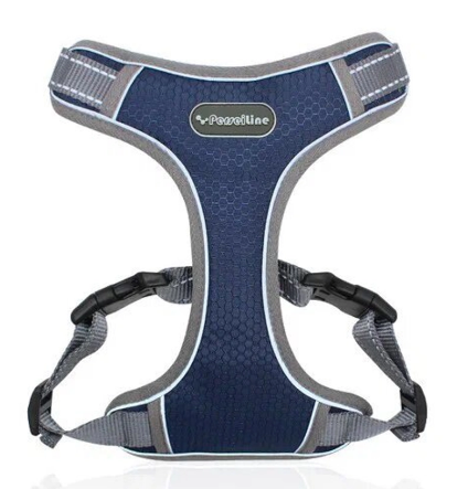 Шлейка COOOL M 6-16кг (ш.34-38 гр.50-64) PerseiLine Ш-6 в ассортименте