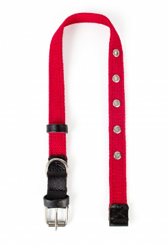 Ошейник брезент 45мм (51-72см), ЗООНИК, красный 10176-4