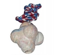 Игрушка "Молекула на веревке" 7,5 см Buddy