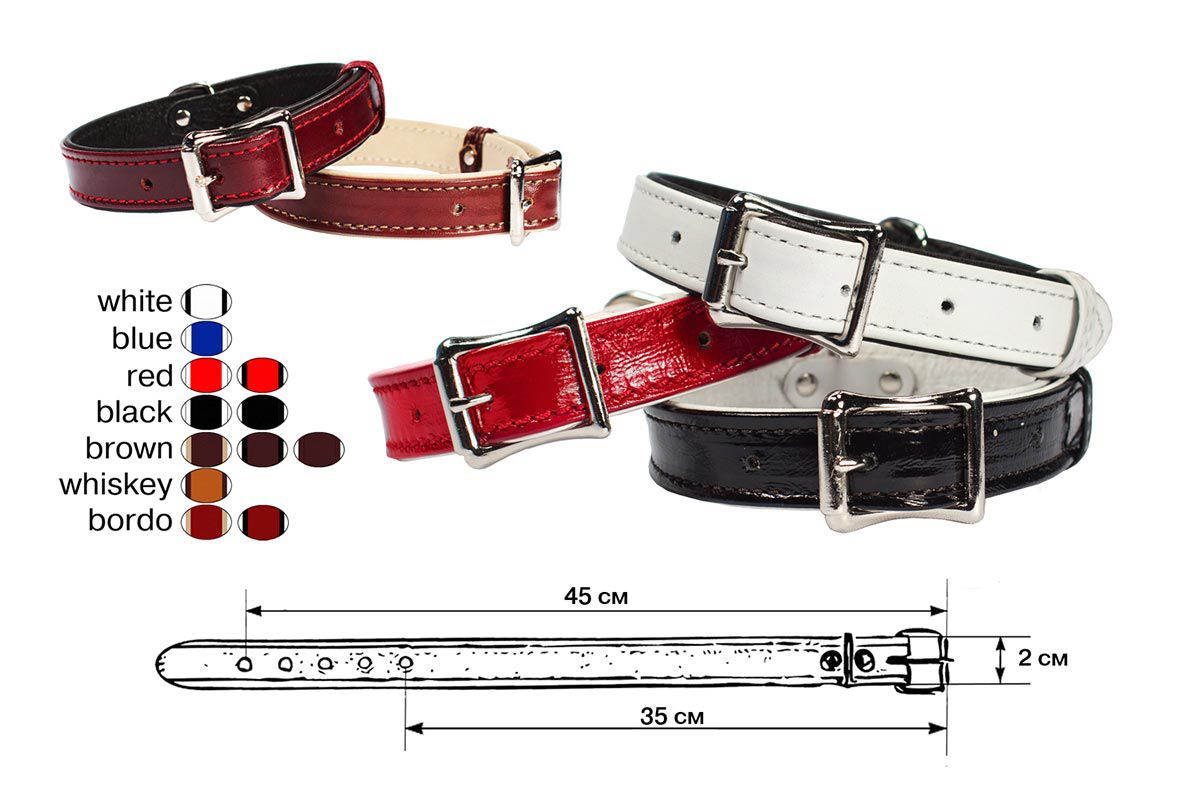 Ошейник "Zoo-M"  "Классика" 20 мм 35-45 см 110010