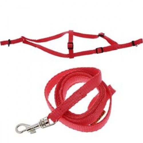 Шлея "Dog Extreme" регулир. с повод. д/котов,крол. и морс.свин (ширина 10 мм, 28-40 см) красн 07023