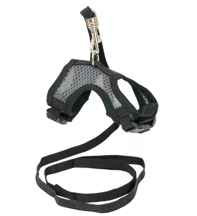 Дарэленд Шлейка текстильная+поводок АЭРО №2 д/мор.свинок/шинш об.гр.15-20см (3D-сетка цв.) серая