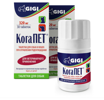 КогаПЕТ №30, GIGI, табл
