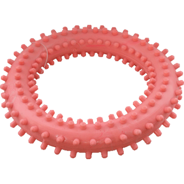 Игрушка "Кольцо с шипами" №5 16411 Зооник