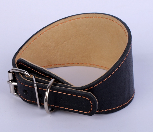Ошейник "Collar " для борзых (ширина 20 мм,длина 34-40 см) черный 20101