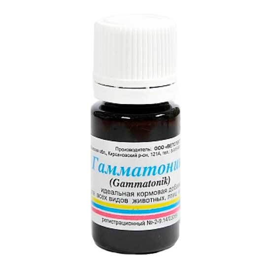 Картинка