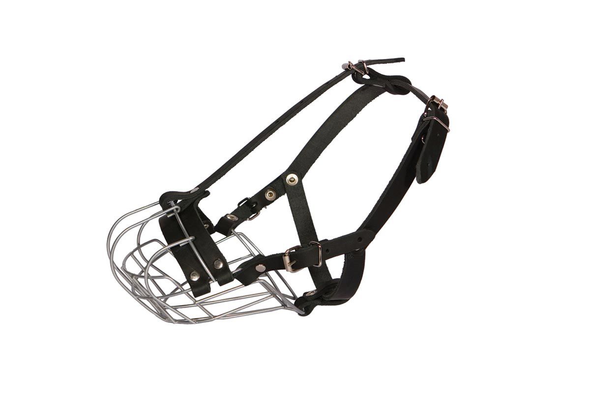 Намордник металлический "Боксер-1" 051201 Дарэлл