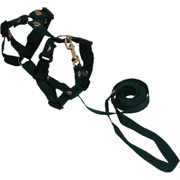 Комплект стропа д/кошек (шлейка+поводок) 20 мм*5 арт. 1311 Зооник