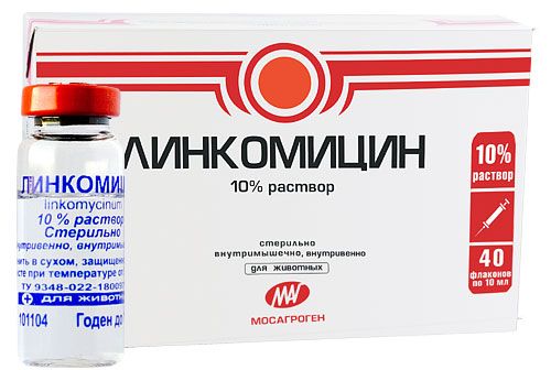 Линкомицин 10% 10 мл МАГ