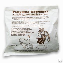 Ракушка Морская 1 кг (фасов.)