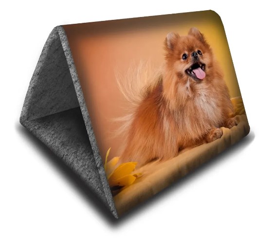 ДОМ ДИЗАЙН ШАЛАШ+ЛЕЖАК "2в1" 46*36*36 Rich Breed ДМД-4 Шпиц
