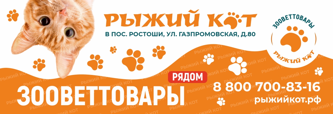 Товары для кошек нижний новгород. Магазин зоотоваров рыжий кот. Магазин рыжий кот Москва. Кот и пес Чебоксары.