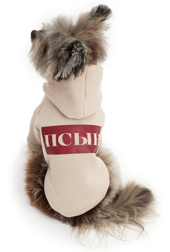Толстовка для собак "Псын" Размер S 23 см LPK-0431 Lion