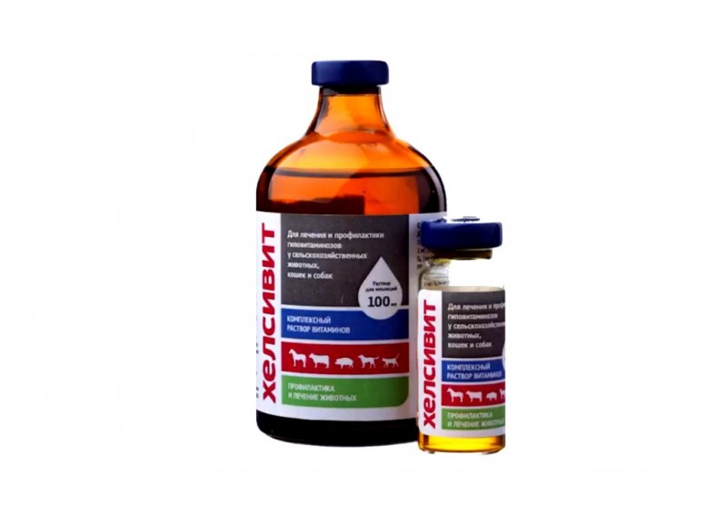 Хелсивит 100 мл, Биоветcервис