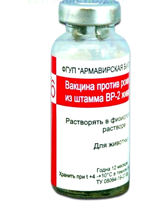 ВР-2 против рожи свиней и штамма 1 амп.-18 доз, Армавирская биофабрика