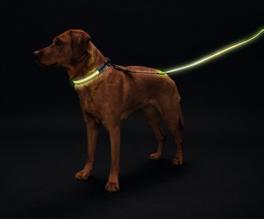 Hunter LED поводок Manoa Glow 30/120 желтый 93109