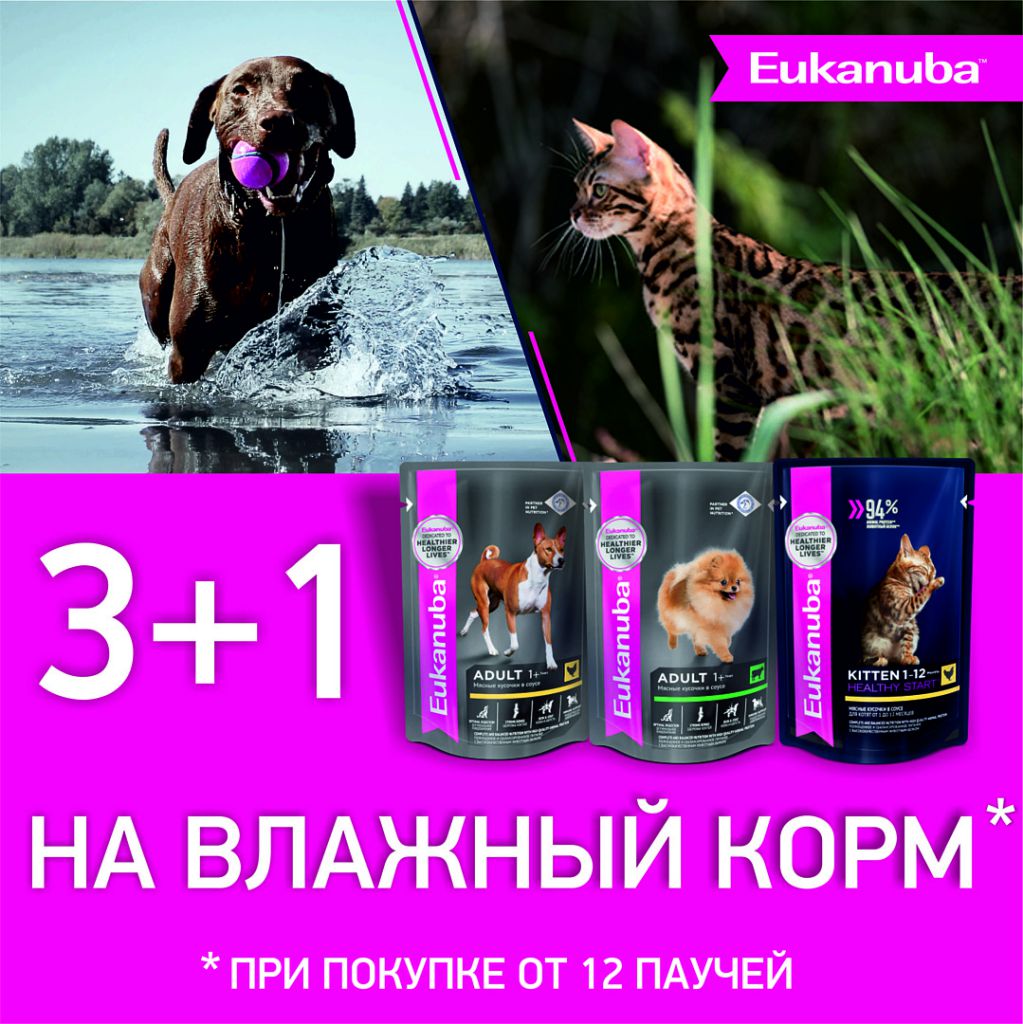 Акция: 3+1 на влажный корм Eukanuba