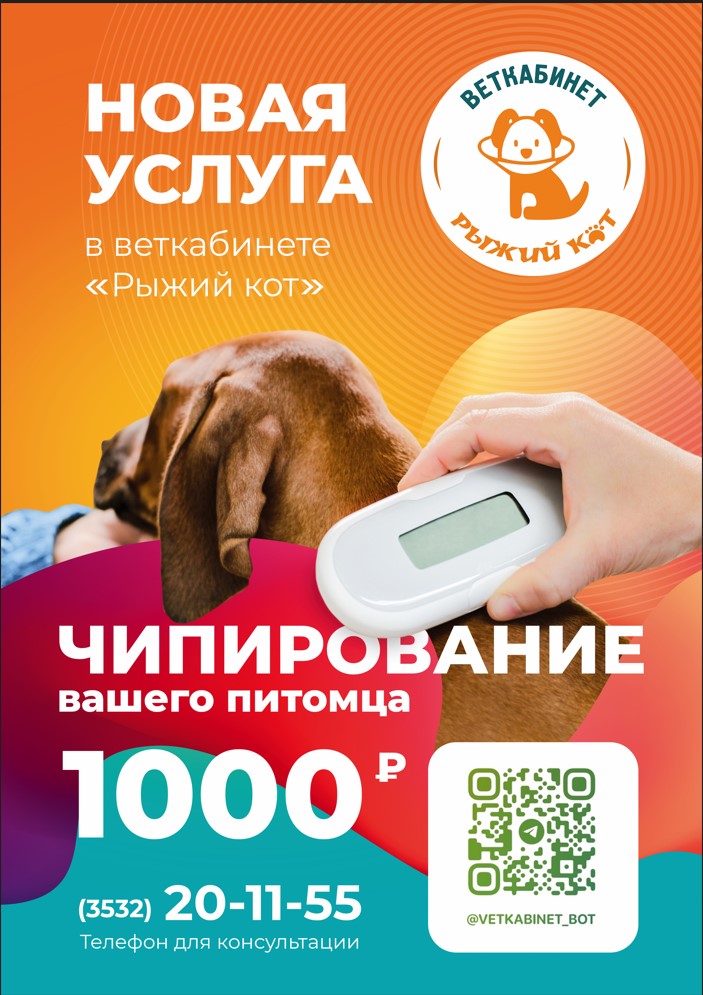 Чипирование питомцев