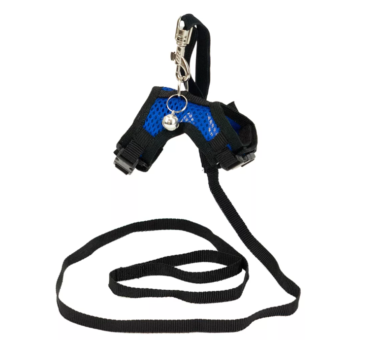 Дарэленд Шлейка текстильная+поводок АЭРО №2 д/мор.свинок/шинш об.гр.15-20см (3D-сетка цв.) синяя