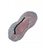 Кормушка для животных 14*7*7 см 15107 Гоша (360563)