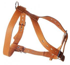 Шлейка кожа 30 мм д/собак (большая) 1410  Зооник