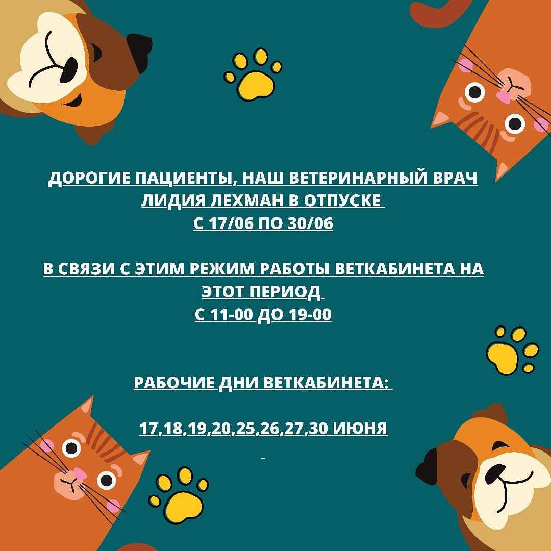 Дорогие пациенты