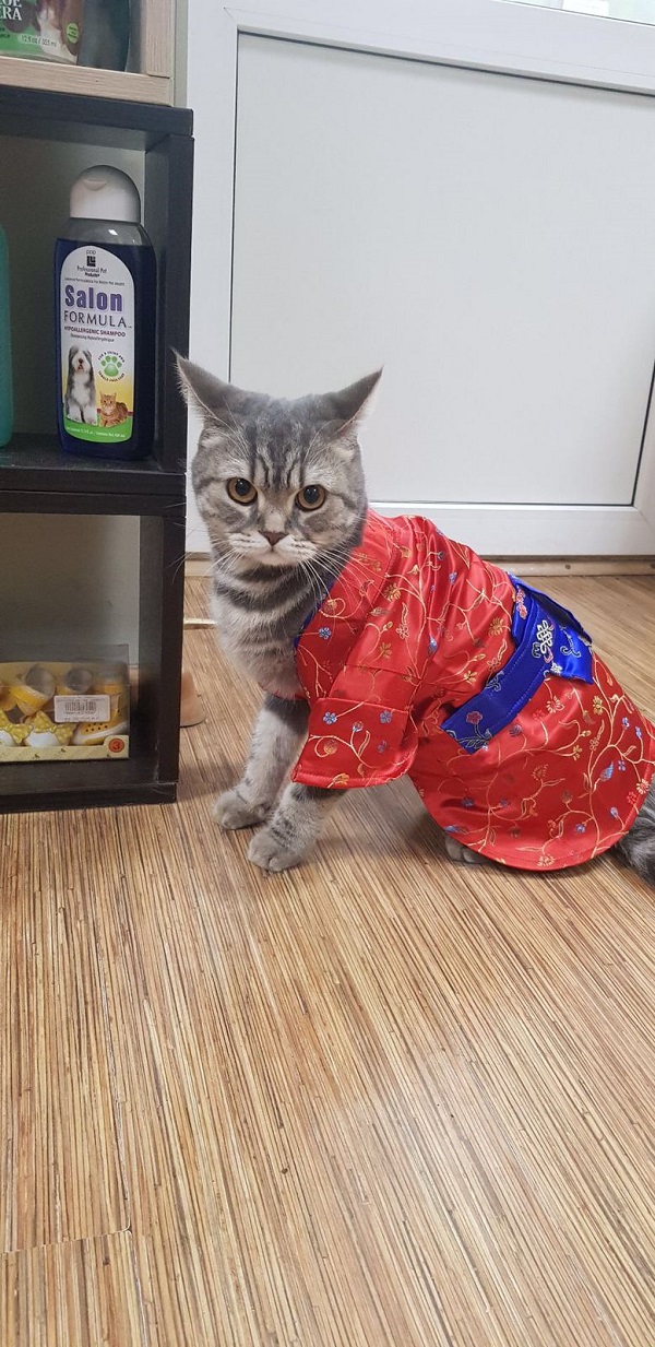 Наши великолепные покупатели
