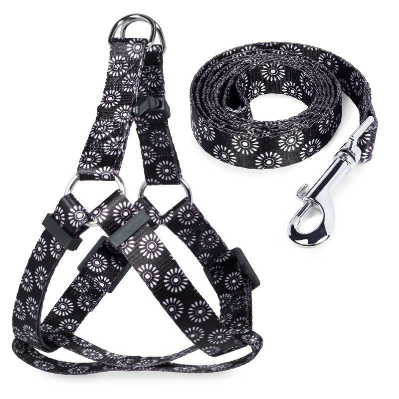 Комплект шлейка и поводок "Графит" 10*260-350мм, 10*1200мм 31491006