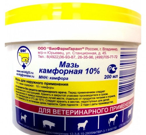 Мазь камфорная 10% 200 г БФГ