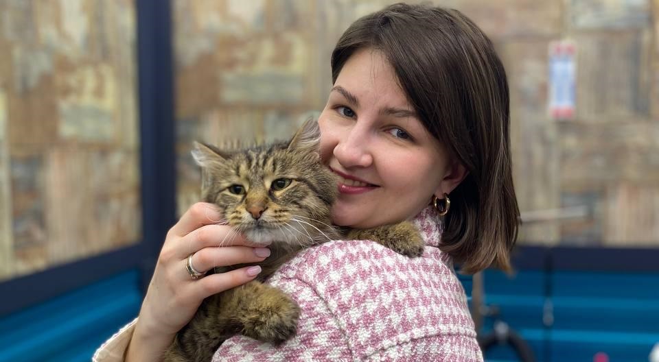 Всемирный день кошек (World Cat Day)