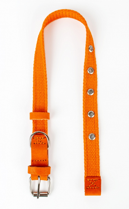 Ошейник брезент 45мм (51-72см), ЗООНИК, оранжевый 10176-2