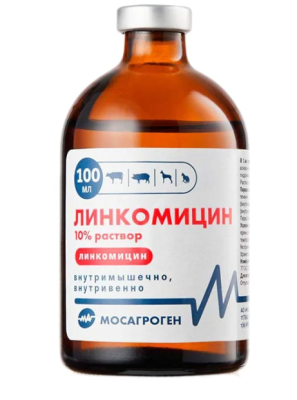 Линкомицин 10% 100 мл (МАГ) (Антибиотик-для всех кроме лошадей)
