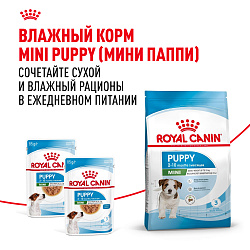 Royal Canin (Роял Канин) Мини Паппи Корм сухой для щенков мелких пород до 10 месяцев 2 кг