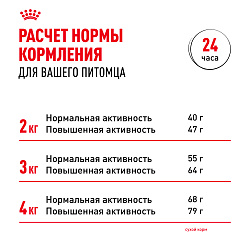 Royal Canin (Роял Канин) Корм сухой для взрослых собак породы Йоркширский Терьер от 10 месяцев, 3 кг