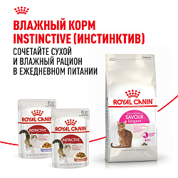 Royal Canin (Роял Канин) Savour Exigent Корм сухой для привередливых взрослых кошек 400 г