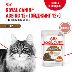 Royal Canin (Роял Канин) Эйджинг 12+ корм влажный для стареющих кошек от 12 лет в соусе 85 г