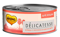 Мнямс delicatesse влажный корм для взрослых кошек лосось в нежном желе 70 г