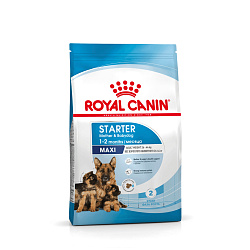 Royal Canin (Роял Канин) Макси Стартер Корм для щенков крупных пород до 2-х месяцев 4 кг 