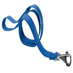 Поводок CLUB G10/120 COLOURS синий 75340925