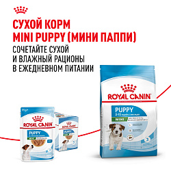 Royal Canin (Роял Канин) Мини Паппи Корм влажный для щенков мелких пород до 10 месяцев в соусе 85 г