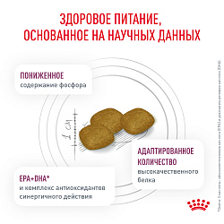 Royal Canin (Роял Канин) Ренал канин Корм сухой для поддержания функции почек 2 кг 
