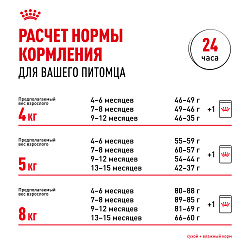 Royal Canin (Роял Канин) Киттен корм сухой для котят породы Мэйн кун 400 г