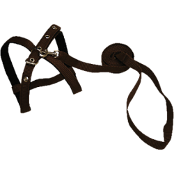 Комплект шлейка+поводок 14 мм арт. 1314 шц Зооник