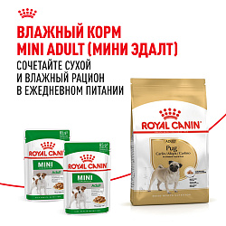 Royal Canin (Роял Канин) Корм сухой для взрослых собак породы Мопс 500 г