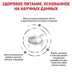 Royal Canin (Роял Канин) Гипоаллердженик для взрослых собак мелких пород при пищевой аллергии 1 кг